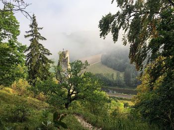 Scenic view of trees and mountains