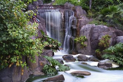 Scenic view of waterfall in forest