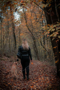 Rear view of woman walking amidst trees in forest during autumn