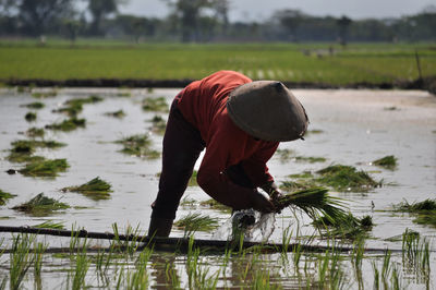 Man working in farm