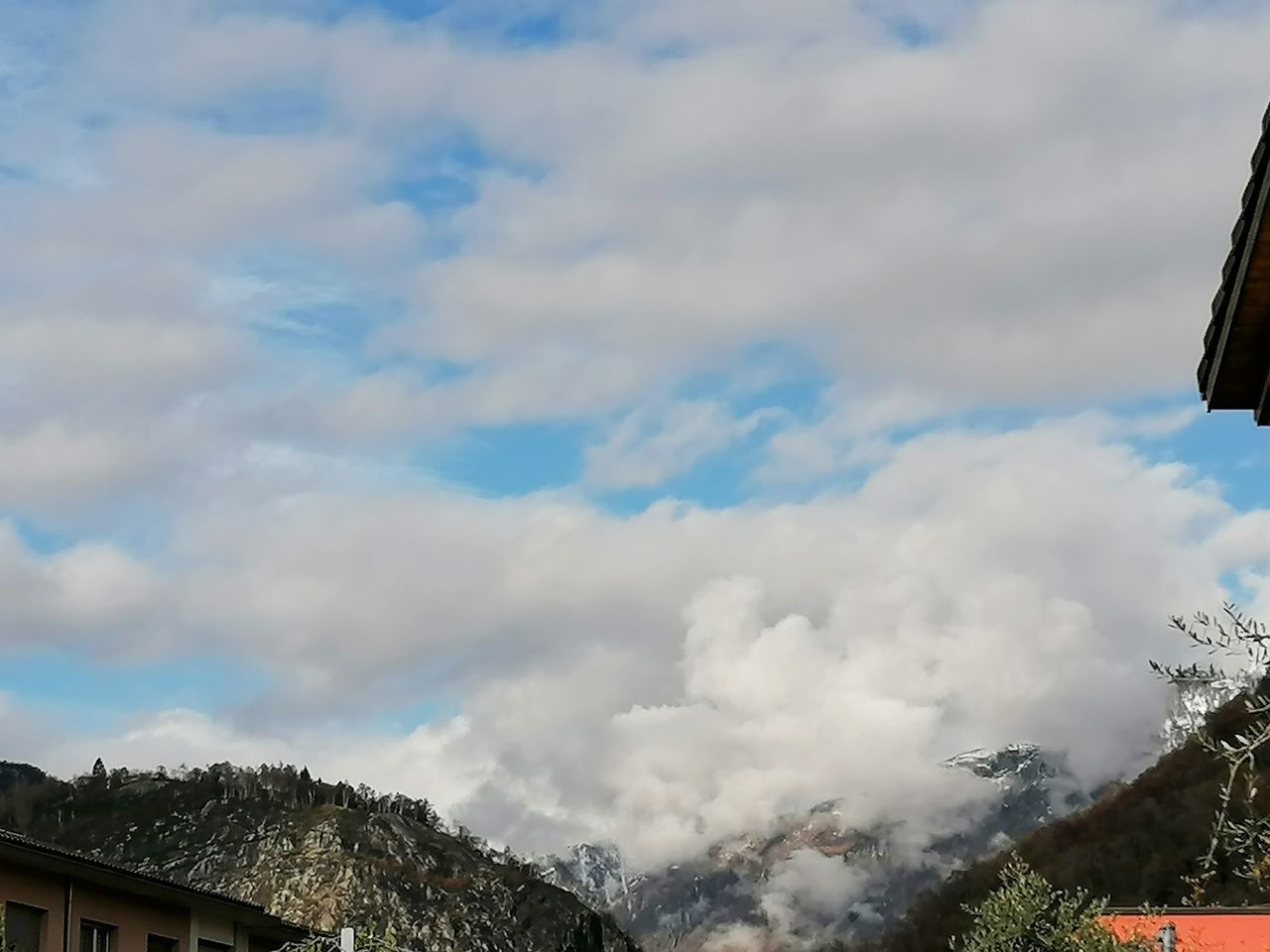 LOW ANGLE VIEW OF BUILDINGS AND TREES AGAINST SKY