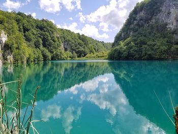 Panoramic view of lake and trees against sky