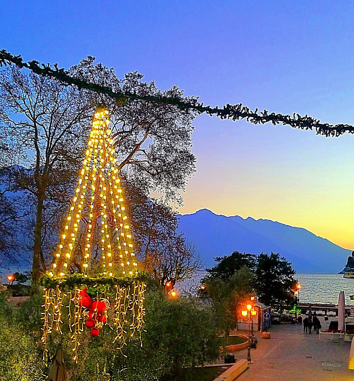 tree, clear sky, no people, sky, christmas tree, christmas, celebration, christmas decoration, outdoors, christmas lights, illuminated, christmas ornament, day, nature