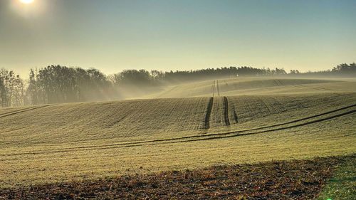 Scenic view of field against sky