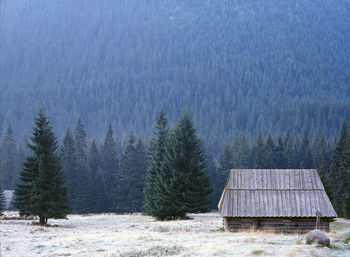 Idyllic rural scene in winter