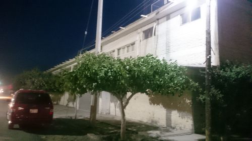 Plants against building