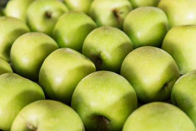 Full frame shot of oranges