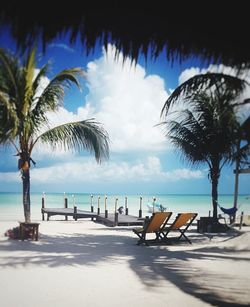 Palm trees by swimming pool against sky