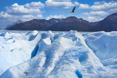 Beautiful scenery of the perito moreno glacier