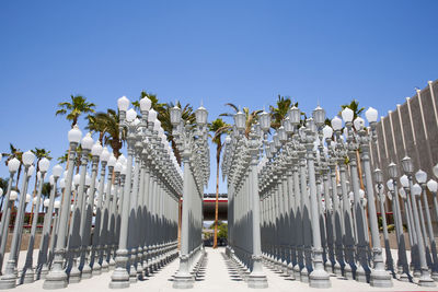 Row of trees against clear sky