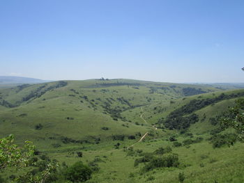 Scenic view of landscape against clear sky