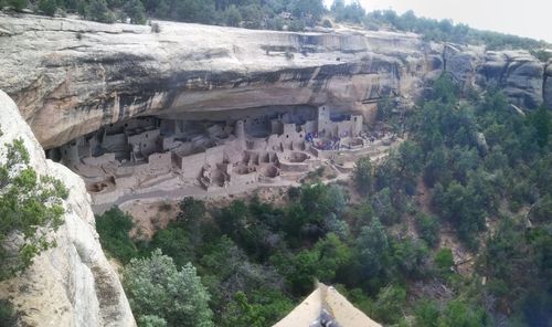 View of trees on cliff