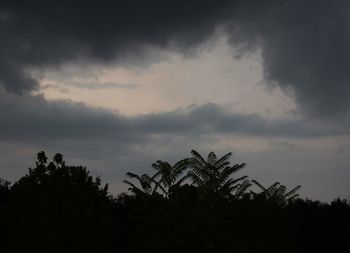 Low angle view of silhouette palm trees against sky