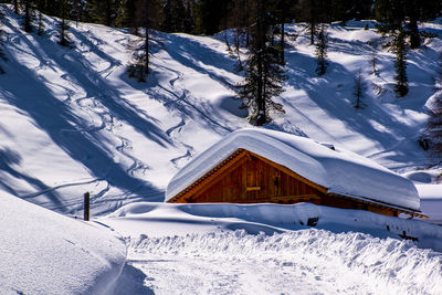 Snow covered field by houses and trees during winter