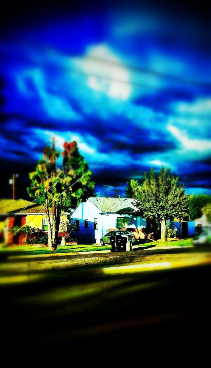 tree, building exterior, sky, built structure, architecture, cloud - sky, blue, palm tree, house, illuminated, green color, dusk, road, growth, street, cloud, grass, outdoors, night, nature