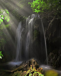 Scenic view of waterfall in forest