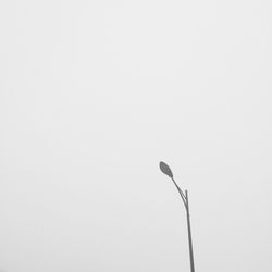 Low angle view of electric lamp against clear sky