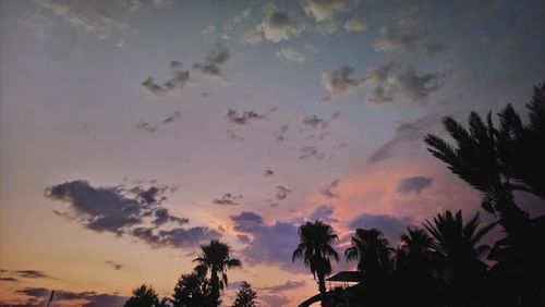 Low angle view of silhouette trees against sky at sunset