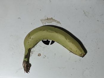 Directly above shot of fruit on table against wall