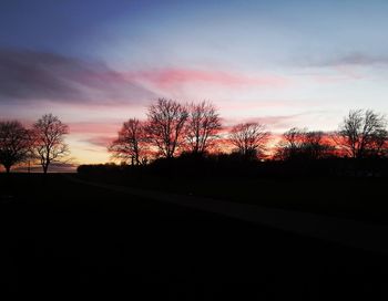 Silhouette bare trees against sky during sunset