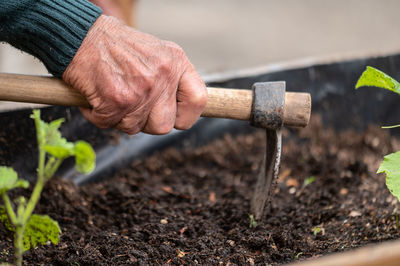 Cropped hand of man working on field