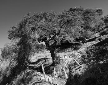 Low angle view of rock formation against sky