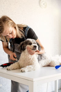 Young woman grooming dog at salon