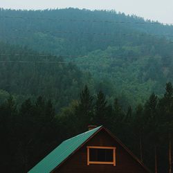 View of house in forest