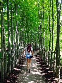 Rear view of woman walking on footpath amidst trees