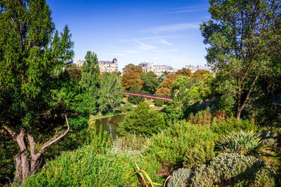 Plants and trees by river against sky