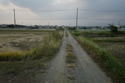 Road passing through field