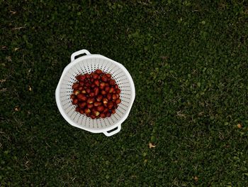 High angle view of fruits in basket on field