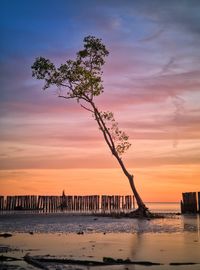 Scenic view of sea against orange sky