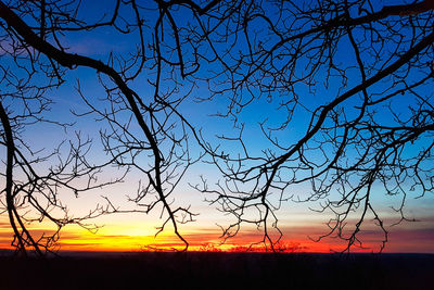 Silhouette bare tree against sky during sunset