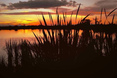 Scenic view of lake at sunset