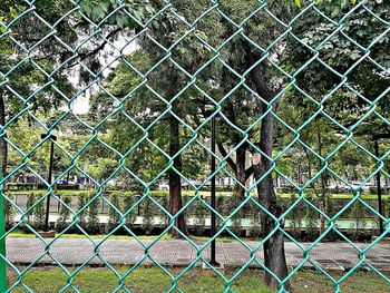 Close-up of chainlink fence