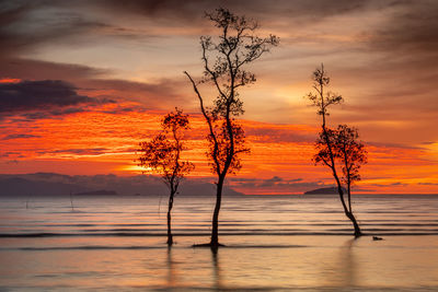 Silhouette tree by sea against romantic sky at sunset