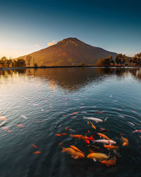 Scenic view of lake and mountains against sky