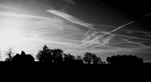 Low angle view of silhouette trees against sky