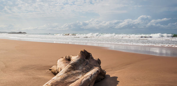 Scenic view of beach against sky