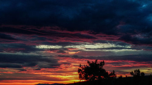 Low angle view of silhouette trees against dramatic sky during sunset