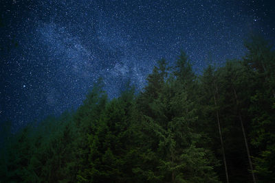 Low angle view of trees against sky at night