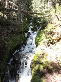 River flowing through rocks in forest