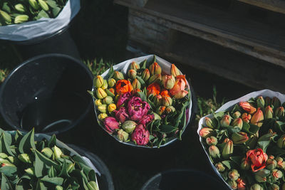 High angle view of bunch of flowers