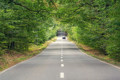 Empty road amidst trees in forest