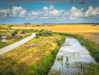 Scenic view of field against sky