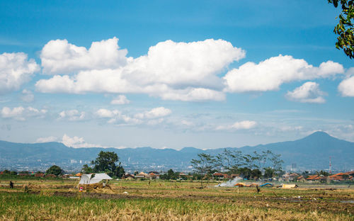 Scenic view of field against sky