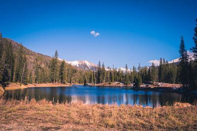 Scenic view of lake in forest against clear blue sky