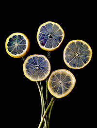 Close-up of fruits against black background