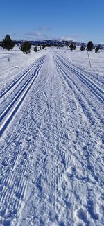 Tire tracks on snow covered land